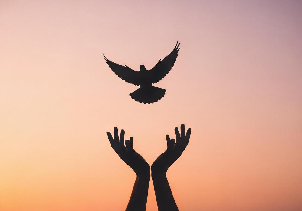 silhouette-of-hands-releasing-a-flying-dove-against-a-colorful-sunset-sky-representing-freedom-and-peace-photo